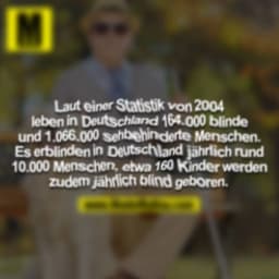 Laut einer Statistik von 2004 leben in Detuschland 164.000 blinde und 1.066.000 sehbehinderte Menschen. Es erblinden in 