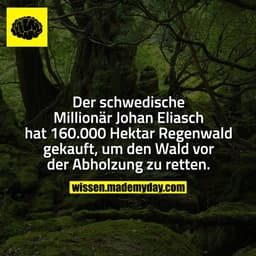 Der schwedische Millionär Johan Eliasch hat 160.000 Hektar Regenwald gekauft, um den Wald vor der Abholzung zu retten.