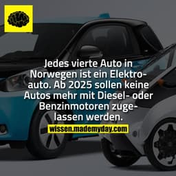 Jedes vierte Auto in Norwegen ist ein Elektroauto. Ab 2025 sollen keine Autos mehr mit Diesel- oder Benzinmotoren zugela