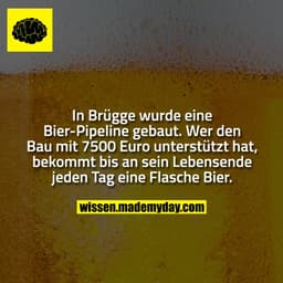 In Brügge wurde eine Bier-Pipeline gebaut. Wer den Bau mit 7500 Euro unterstützt hat, bekommt bis an sein Lebensende jed