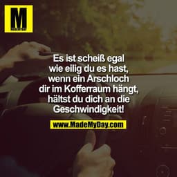 Es ist scheiß egal wie eilig du es hast, wenn ein Arschloch dir im Kofferraum hängt, hältst du dich an die Geschwindigke