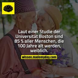 Laut einer Studie der Universität Boston sind 85 % aller Menschen, die 100 Jahre alt werden, weiblich.