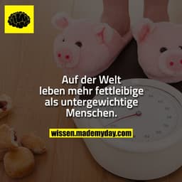 Auf der Welt leben mehr fettleibige als untergewichtige Menschen.