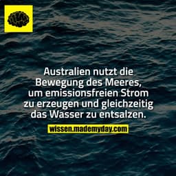 Australien nutzt die Bewegung des Meeres, um emissionsfreien Strom zu erzeugen und gleichzeitig das Wasser zu entsalzen.