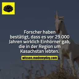 Forscher haben bestätigt, dass es vor 29.000 Jahren wirklich Einhörner gab, die in der Region um Kasachstan lebten.