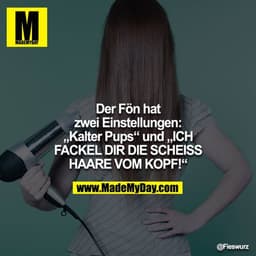 Der Fön hat zwei Einstellungen: „Kalter Pups“ und „ICH FACKEL DIR DIE SCHEISS HAARE VOM KOPF!“