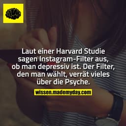 Laut einer Harvard Studie sagen Instagram-Filter aus, ob man depressiv ist. Der Filter, den man wählt, verrät vieles übe