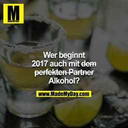Wer beginnt 2017 auch mit  ̶d̶̶e̶̶m̶̶ ̶̶p̶̶e̶̶r̶̶f̶̶e̶̶k̶̶t̶̶e̶̶n̶̶ ̶̶p̶̶a̶̶r̶̶t̶̶n̶̶e̶̶r̶ Alkohol?