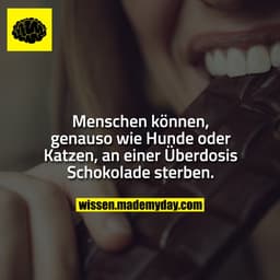 Menschen können, genauso wie Hunde oder Katzen, an einer Überdosis Schokolade sterben.
