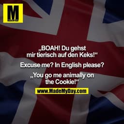 „BOAH! Du gehst mir tierisch auf den Keks!“

Excuse me? In English please?

„You go me animally on the Cookie!“