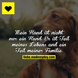 Mein Hund ist nicht nur ein Hund. Er ist Teil meines Lebens und ein Teil meiner Familie.