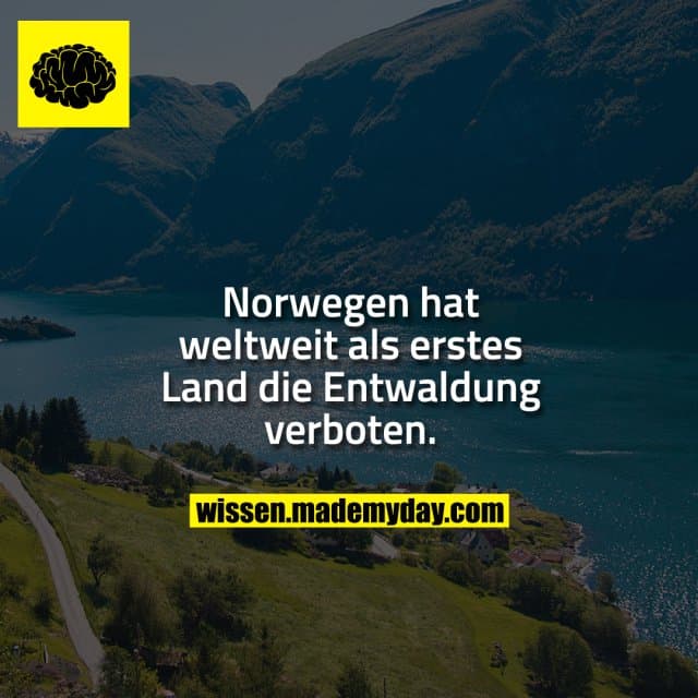 Norwegen hat weltweit als erstes Land die Entwaldung verboten.