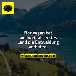 Norwegen hat weltweit als erstes Land die Entwaldung verboten.
