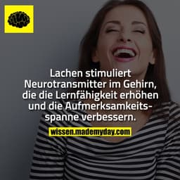 Lachen stimuliert Neurotransmitter im Gehirn, die die Lernfähigkeit erhöhen und die Aufmerksamkeitsspanne verbessern.