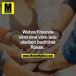 Wahre Freunde sind eine vom aussterben bedrohte Rasse.