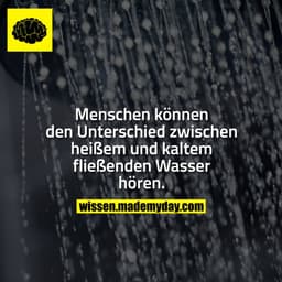 Menschen können den Unterschied zwischen heißem und kaltem fließenden Wasser hören.