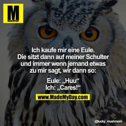 Ich kaufe mir eine Eule. Die sitzt dann auf meiner Schulter und immer wenn jemand etwas zu mir sagt, wir dann so:

Eule:
