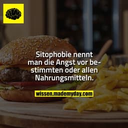 Sitophobie nennt man die Angst vor bestimmten oder allen Nahrungsmitteln.