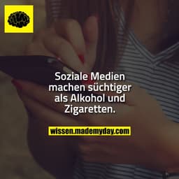 Soziale Medien machen süchtiger als Alkohol und Zigaretten.