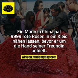 Ein Mann in China hat 9999 rote Rosen in ein Kleid nähen lassen, bevor er um die Hand seiner Freundin anhielt.