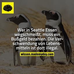Wer in Seattle Essen wegschmeißt, muss ein Bußgeld bezahlen. Die Verschwendung von Lebensmitteln ist dort illegal.