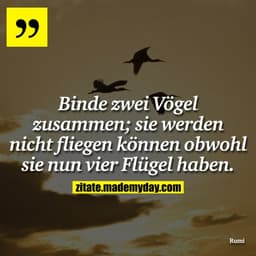Binde zwei Vögel zusammen; sie werden nicht fliegen können obwohl sie nun vier Flügel haben.