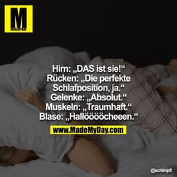 Hirn: „DAS ist sie!“
Rücken: „Die perfekte Schlafposition, ja.“
Gelenke: „Absolut.“
Muskeln: „Traumhaft.“
Blase: „Hallöö