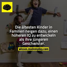 Die ältesten Kinder in Familien neigen dazu, einen höheren IQ zu entwickeln als ihre jüngeren Geschwister.