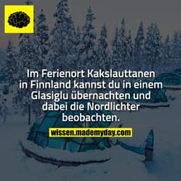 Im Ferienort Kakslauttanen in Finnland kannst du in einem Glasiglu übernachten und dabei die Nordlichter beobachten.