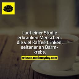 Laut einer Studie erkranken Menschen, die viel Kaffee trinken, seltener an Darmkrebs.