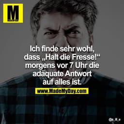 Ich finde sehr wohl, dass „Halt die Fresse!“ morgens vor 7 Uhr die adäquate Antwort auf alles ist.