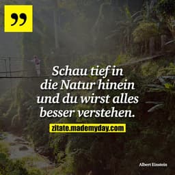 Schau tief in die Natur hinein und du wirst alles besser verstehen.