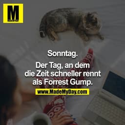 Sonntag.

Der Tag, an dem die Zeit schneller rennt als Forrest Gump.