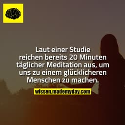 Laut einer Studie reichen bereits 20 Minuten täglicher Meditation aus, um uns zu einem glücklicheren Menschen zu machen.