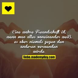 Eine wahre Freundschaft ist, wenn man alles voneinander weiß, es aber niemals gegen den anderen verwenden würde.