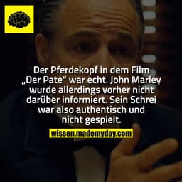 Der Pferdekopf in dem Film „Der Pate“ war echt. John Marley wurde allerdings vorher nicht darüber informiert. Sein Schre