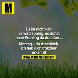 Es ist nicht kalt, es wird sonnig, es duftet nach Frühling da draußen ...

Montag – du Arschloch, ich hab dich trotzdem 