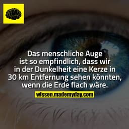 Das menschliche Auge ist so empfindlich, dass wir in der Dunkelheit eine Kerze in 30 km Entfernung sehen könnten, wenn d