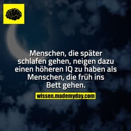 Menschen, die später schlafen gehen, neigen dazu einen höheren IQ zu haben als Menschen, die früh ins Bett gehen.