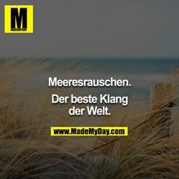 Meeresrauschen.

Der beste Klang der Welt.