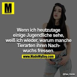 Wenn ich heutzutage einige Jugendliche sehe, weiß ich wieder, warum manche Tierarten ihren Nachwuchs fressen.