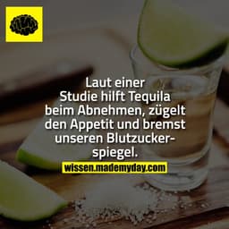Laut einer Studie hilft Tequila beim Abnehmen, zügelt den Appetit und bremst unseren Blutzuckerspiegel.