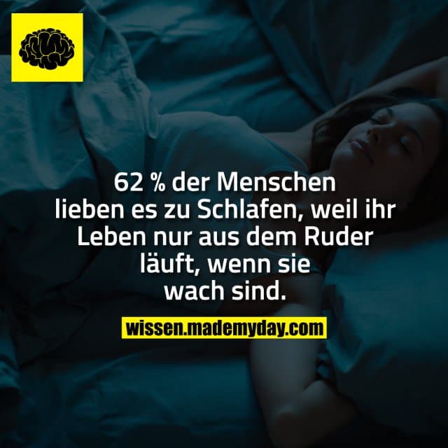 62 % der Menschen lieben es zu Schlafen, weil ihr Leben nur aus dem Ruder läuft, wenn sie wach sind.