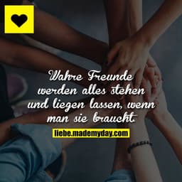 Wahre Freunde werden alles stehen und liegen lassen, wenn man sie braucht.