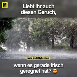 Liebt ihr auch diesen Geruch, wenn es gerade frisch geregnet hat? ?