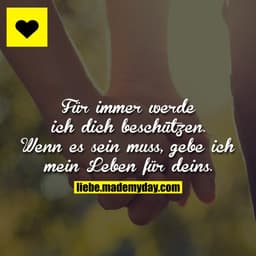 Für immer werde ich dich beschützen.
Wenn es sein muss, gebe ich mein Leben für deins.