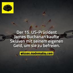 Der 15. US-Präsident James Buchanan kaufte Sklaven mit seinem eigenen Geld, um sie zu befreien.