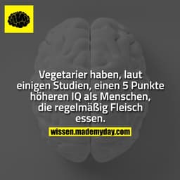 Vegetarier haben, laut einigen Studien, einen 5 Punkte höheren IQ als Menschen, die regelmäßig Fleisch essen.