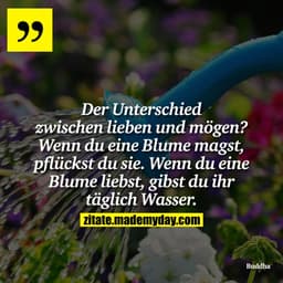 Der Unterschied zwischen lieben und mögen? Wenn du eine Blume magst, pflückst du sie. Wenn du eine Blume liebst, gibst d