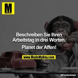 Beschreiben Sie Ihren Arbeitstag in drei Worten.

Planet der Affen!